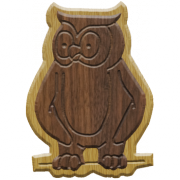 Owl #2