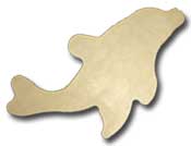 Dolphin Signature Board
