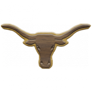 Longhorn