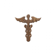Medical Mini Symbol