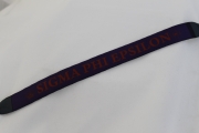 Sigma Phi Epsilon Croakies