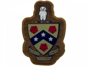 Phi Gamma Delta Decal Background