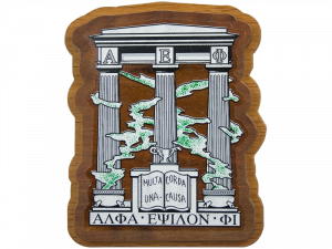 Alpha Epsilon Phi Decal Background