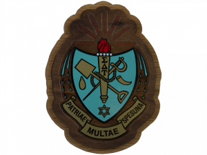 Sigma Delta Tau Decal Background