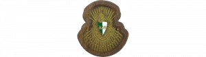 Alpha Delta Phi Mini Decal Background