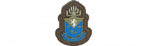 Alpha Epsilon Pi Mini Decal Background