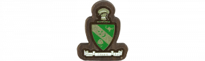 Alpha Gamma Rho Mini Decal Background
