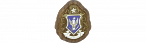 Alpha Phi Delta Mini Decal Background