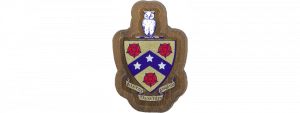 Phi Gamma Delta Mini Decal Background