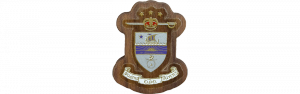 Phi Epsilon Pi Mini Decal Background