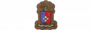 Sigma Phi Epsilon Mini Decal Background