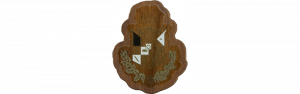 Zeta Psi Mini Decal Background