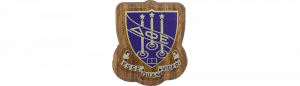 Delta Phi Epsilon Mini Decal Background