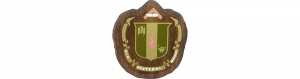 Delta Zeta Mini Decal Background