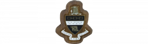 Kappa Alpha Theta Mini Decal Background