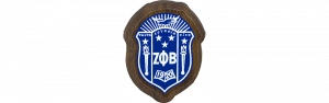 Zeta Phi Beta Mini Crest Background