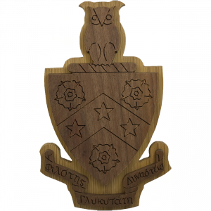 delta gamma phi crest carved background fraternity paddletramps