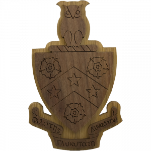 Phi Gamma Delta Carved Background